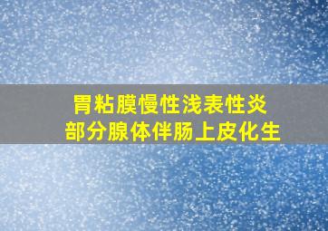 胃粘膜慢性浅表性炎 部分腺体伴肠上皮化生